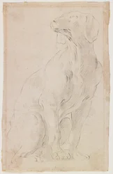 Sitzender Hund, 1710-15